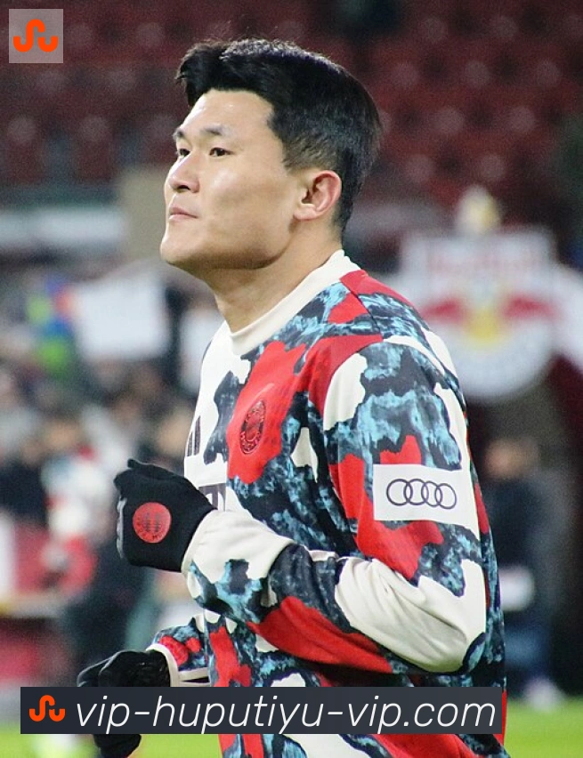 维尼修斯